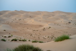 Jalan Bani Bu Hassan, Wahibská poušt - Týden po Ománu (říjen 2022)