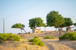 Jalan Bani Bu Hassan, Wahibská poušt - Týden po Ománu (říjen 2022)