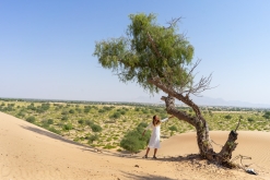 Jalan Bani Bu Hassan, Wahibská poušt - Týden po Ománu (říjen 2022)