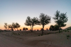 Jalan Bani Bu Hassan, Wahibská poušt - Týden po Ománu (říjen 2022)