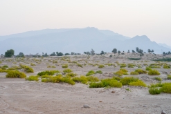 Jalan Bani Bu Hassan, Wahibská poušt - Týden po Ománu (říjen 2022)