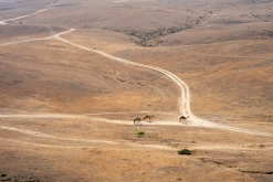 Salála - Týden po Ománu (říjen 2022)