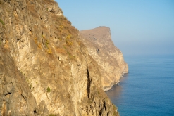 Salála - Týden po Ománu (říjen 2022)