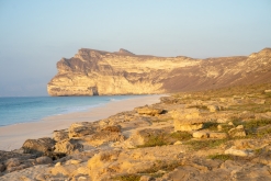 Salála - Týden po Ománu (říjen 2022)