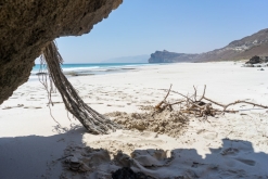 Salála - Týden po Ománu (říjen 2022)