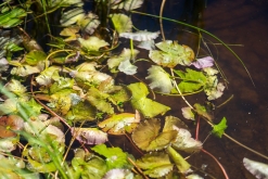 Luleå - Prodloužený víkend v Laponsku (červenec 2022)