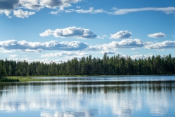 Muddus národní park - Prodloužený víkend v Laponsku (červenec 2022)