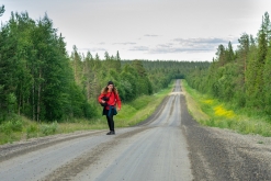 Muddus národní park - Prodloužený víkend v Laponsku (červenec 2022)