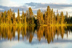 Muddus národní park - Prodloužený víkend v Laponsku (červenec 2022)