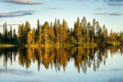 Muddus národní park - Prodloužený víkend v Laponsku (červenec 2022)