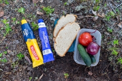 Muddus národní park - Prodloužený víkend v Laponsku (červenec 2022)