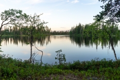 Muddus národní park - Prodloužený víkend v Laponsku (červenec 2022)