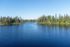 Muddus národní park - Prodloužený víkend v Laponsku (červenec 2022)