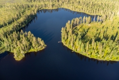 Muddus národní park - Prodloužený víkend v Laponsku (červenec 2022)