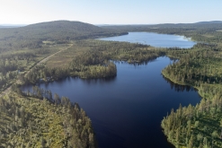 Muddus národní park - Prodloužený víkend v Laponsku (červenec 2022)