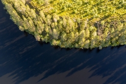 Muddus národní park - Prodloužený víkend v Laponsku (červenec 2022)