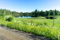 Muddus národní park - Prodloužený víkend v Laponsku (červenec 2022)