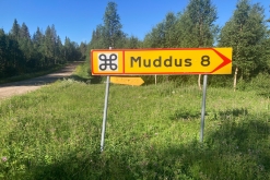 Muddus národní park - Prodloužený víkend v Laponsku (červenec 2022)