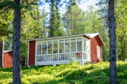 Muddus národní park - Prodloužený víkend v Laponsku (červenec 2022)