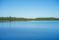 Muddus národní park - Prodloužený víkend v Laponsku (červenec 2022)