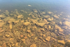 Muddus národní park - Prodloužený víkend v Laponsku (červenec 2022)