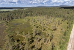 Muddus národní park - Prodloužený víkend v Laponsku (červenec 2022)