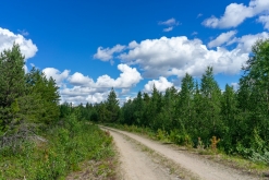 Muddus národní park - Prodloužený víkend v Laponsku (červenec 2022)