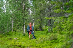 Muddus národní park - Prodloužený víkend v Laponsku (červenec 2022)