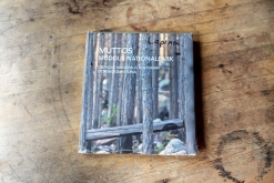 Muddus národní park - Prodloužený víkend v Laponsku (červenec 2022)