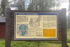 Muddus národní park - Prodloužený víkend v Laponsku (červenec 2022)