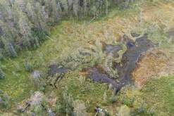 Muddus národní park - Prodloužený víkend v Laponsku (červenec 2022)