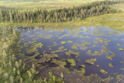 Muddus národní park - Prodloužený víkend v Laponsku (červenec 2022)