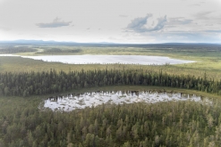 Muddus národní park - Prodloužený víkend v Laponsku (červenec 2022)
