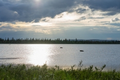 Muddus národní park - Prodloužený víkend v Laponsku (červenec 2022)