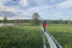 Muddus národní park - Prodloužený víkend v Laponsku (červenec 2022)