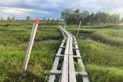Muddus národní park - Prodloužený víkend v Laponsku (červenec 2022)