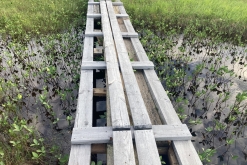 Muddus národní park - Prodloužený víkend v Laponsku (červenec 2022)