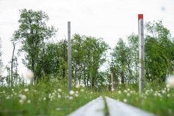 Muddus národní park - Prodloužený víkend v Laponsku (červenec 2022)