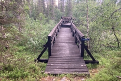 Muddus národní park - Prodloužený víkend v Laponsku (červenec 2022)