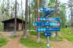 Muddus národní park - Prodloužený víkend v Laponsku (červenec 2022)