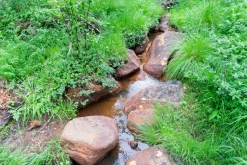 Muddus národní park - Prodloužený víkend v Laponsku (červenec 2022)