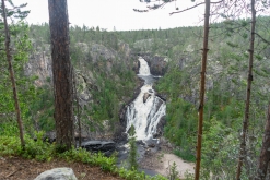 Muddus národní park - Prodloužený víkend v Laponsku (červenec 2022)