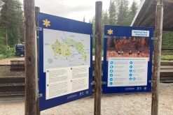 Muddus národní park - Prodloužený víkend v Laponsku (červenec 2022)