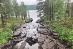 Muddus národní park - Prodloužený víkend v Laponsku (červenec 2022)