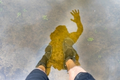 Muddus národní park - Prodloužený víkend v Laponsku (červenec 2022)