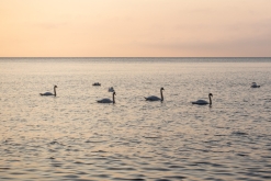 Sassnitz, Rujána - září 2023 (Víkend vlakem po Německu k Baltu)