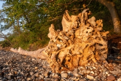 Sassnitz, Rujána - září 2023 (Víkend vlakem po Německu k Baltu)