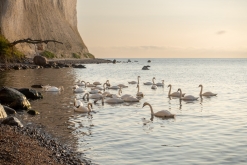 Sassnitz, Rujána - září 2023 (Víkend vlakem po Německu k Baltu)