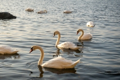 Sassnitz, Rujána - září 2023 (Víkend vlakem po Německu k Baltu)