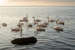 Sassnitz, Rujána - září 2023 (Víkend vlakem po Německu k Baltu)